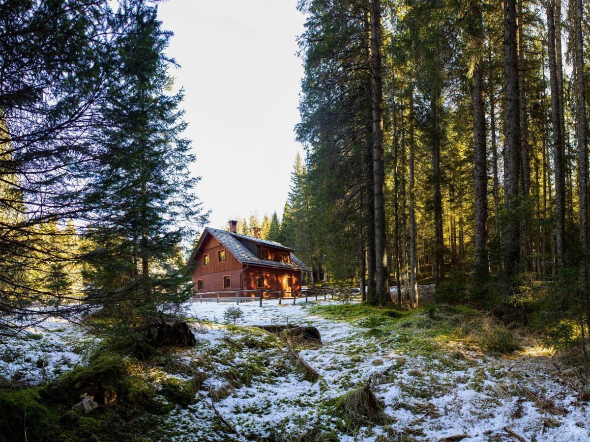 Digital Detox Chalet Pokljuka Goreljek Exteriér fotografie