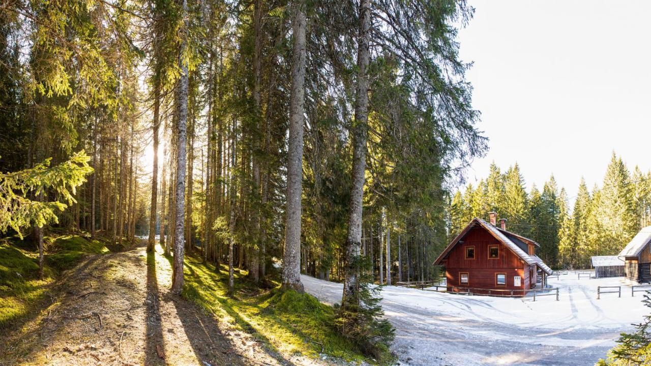 Digital Detox Chalet Pokljuka Goreljek Exteriér fotografie