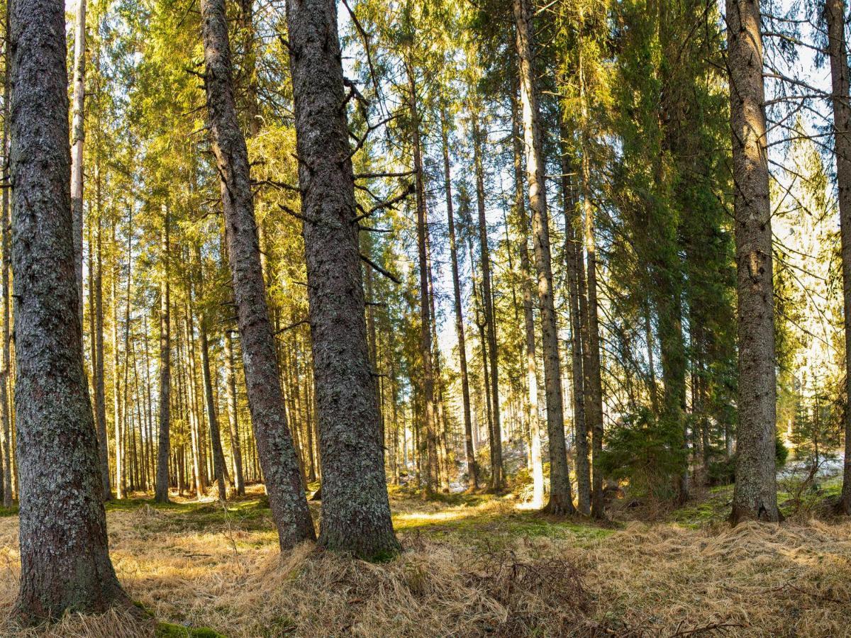 Digital Detox Chalet Pokljuka Goreljek Exteriér fotografie